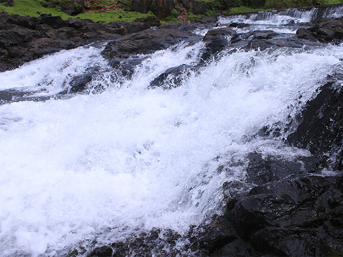 Manoli Dam,Amba