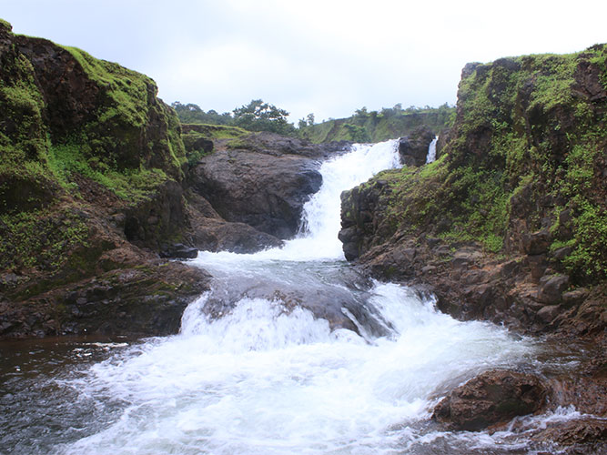 Manoli Dam,Amba